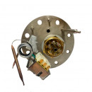 3851298 Фланец Austria Email в сборе с ТЭНом 4.5kW