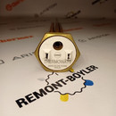 182259 ТЭН RСT TW3 PA 2500W/230V на резьбе G1