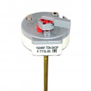 691217 Термостат стержневой с термозащитой TBS 20A 250V T105